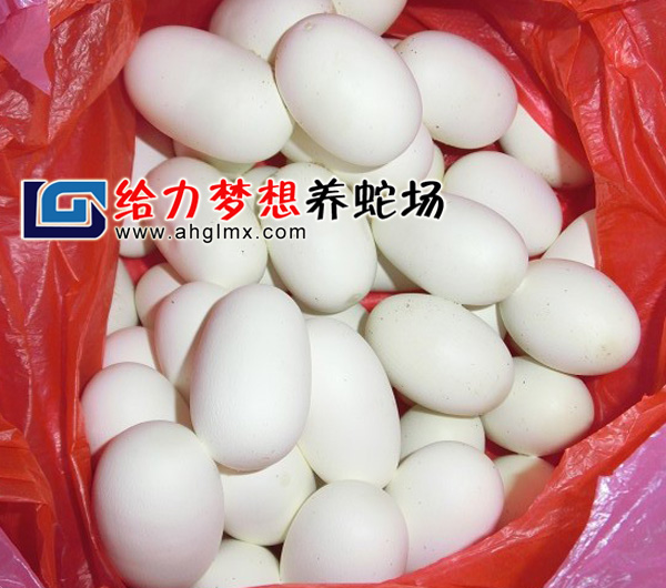 �����ߵ�